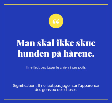 Illustration proverbe en Danois. Eu Coordination agence de traduction de/vers le Danois.