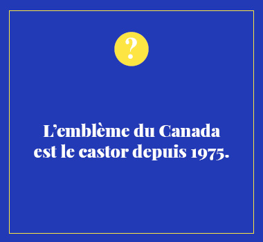 Illustration le saviez-vous en Français Canadien. Eu Coordination agence de traduction de/vers le Français Canadien