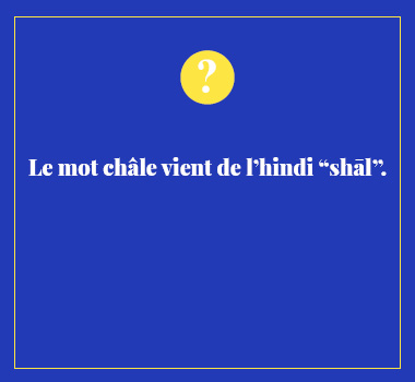 Illustration le saviez vous en Hindi. Eu Coordination agence de traduction de/vers l'Hindi