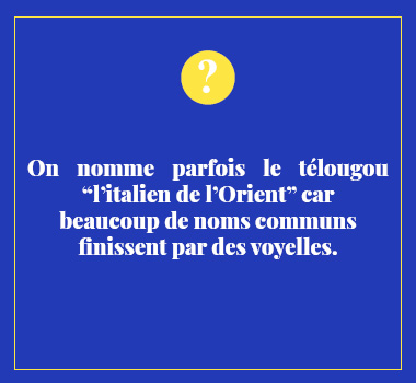 Illustration proverbe en Télougou. Eu Coordination agence de traduction de/vers le Télougou.